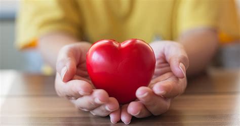 12 Great Chicago Charities to Support .